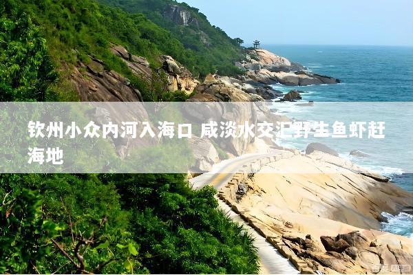钦州小众内河入海口 咸淡水交汇野生鱼虾赶海地
