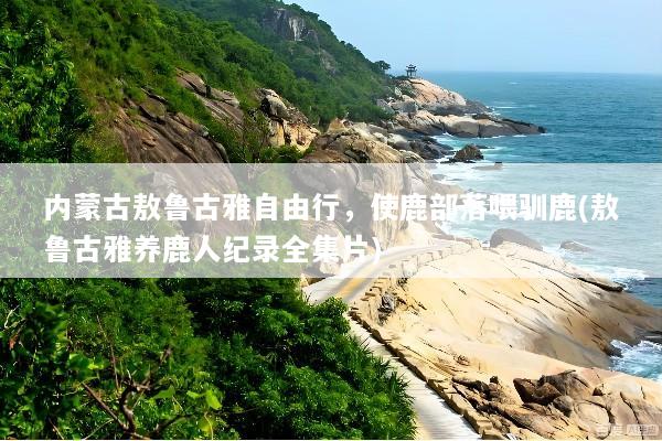 内蒙古敖鲁古雅自由行，使鹿部落喂驯鹿(敖鲁古雅养鹿人纪录全集片)