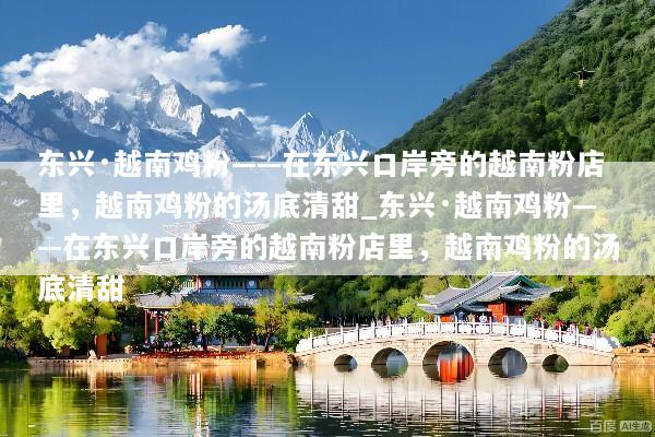 东兴·越南鸡粉——在东兴口岸旁的越南粉店里，越南鸡粉的汤底清甜_东兴·越南鸡粉——在东兴口岸旁的越南粉店里，越南鸡粉的汤底清甜