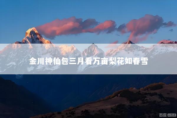 金川神仙包三月看万亩梨花如春雪