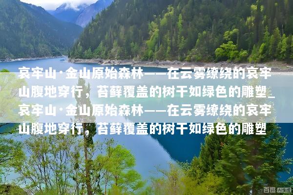 哀牢山·金山原始森林——在云雾缭绕的哀牢山腹地穿行，苔藓覆盖的树干如绿色的雕塑_哀牢山·金山原始森林——在云雾缭绕的哀牢山腹地穿行，苔藓覆盖的树干如绿色的雕塑