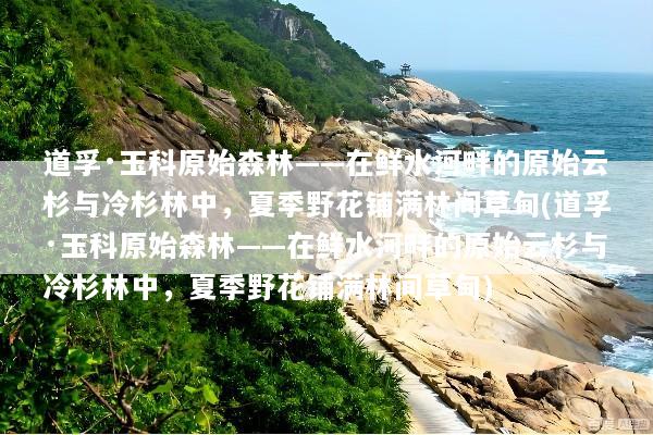 道孚·玉科原始森林——在鲜水河畔的原始云杉与冷杉林中，夏季野花铺满林间草甸(道孚·玉科原始森林——在鲜水河畔的原始云杉与冷杉林中，夏季野花铺满林间草甸)
