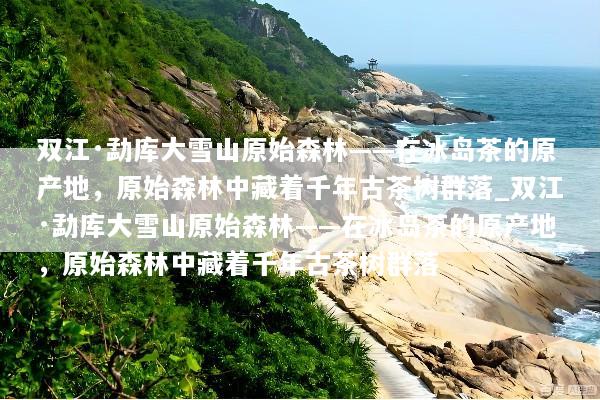 双江·勐库大雪山原始森林——在冰岛茶的原产地，原始森林中藏着千年古茶树群落_双江·勐库大雪山原始森林——在冰岛茶的原产地，原始森林中藏着千年古茶树群落