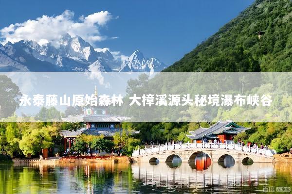 永泰藤山原始森林 大樟溪源头秘境瀑布峡谷