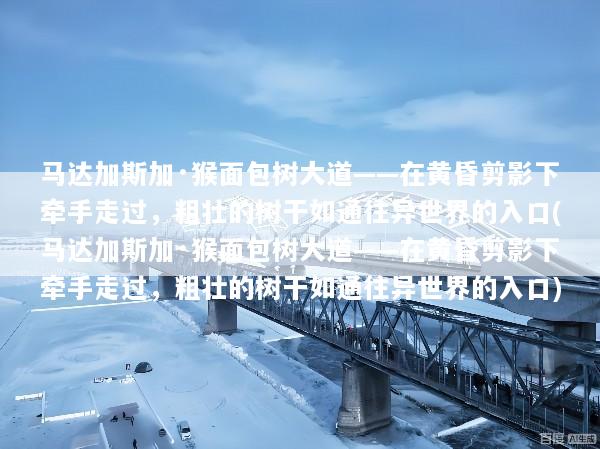 马达加斯加·猴面包树大道——在黄昏剪影下牵手走过，粗壮的树干如通往异世界的入口(马达加斯加·猴面包树大道——在黄昏剪影下牵手走过，粗壮的树干如通往异世界的入口)