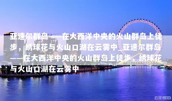亚速尔群岛——在大西洋中央的火山群岛上徒步，绣球花与火山口湖在云雾中_亚速尔群岛——在大西洋中央的火山群岛上徒步，绣球花与火山口湖在云雾中