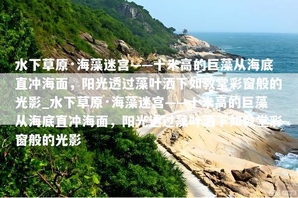 水下草原·海藻迷宫——十米高的巨藻从海底直冲海面，阳光透过藻叶洒下如教堂彩窗般的光影_水下草原·海藻迷宫——十米高的巨藻从海底直冲海面，阳光透过藻叶洒下如教堂彩窗般的光影