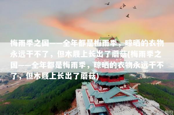 梅雨季之国——全年都是梅雨季，晾晒的衣物永远干不了，但木屐上长出了蘑菇(梅雨季之国——全年都是梅雨季，晾晒的衣物永远干不了，但木屐上长出了蘑菇)