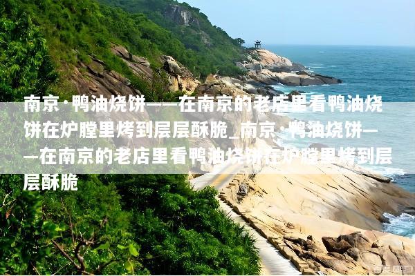 南京·鸭油烧饼——在南京的老店里看鸭油烧饼在炉膛里烤到层层酥脆_南京·鸭油烧饼——在南京的老店里看鸭油烧饼在炉膛里烤到层层酥脆