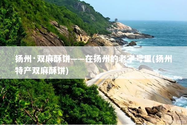 扬州·双麻酥饼——在扬州的老字号里(扬州特产双麻酥饼)