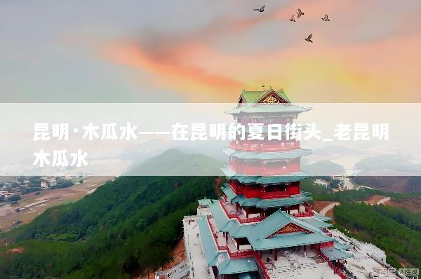 昆明·木瓜水——在昆明的夏日街头_老昆明木瓜水