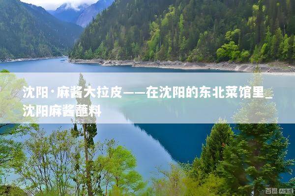 沈阳·麻酱大拉皮——在沈阳的东北菜馆里_沈阳麻酱蘸料