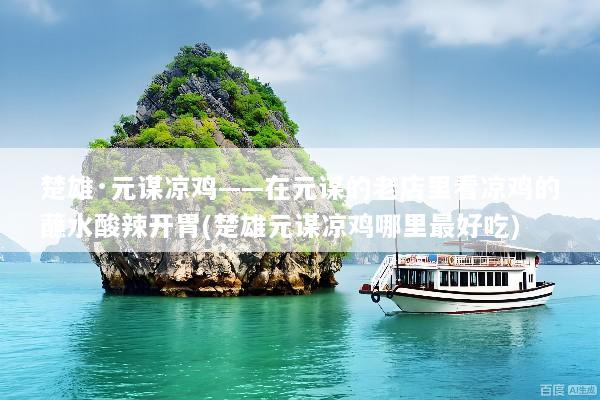 楚雄·元谋凉鸡——在元谋的老店里看凉鸡的蘸水酸辣开胃(楚雄元谋凉鸡哪里最好吃)