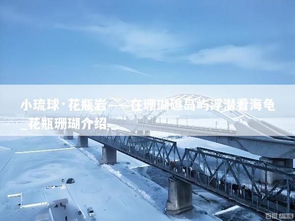 小琉球·花瓶岩——在珊瑚礁岛屿浮潜看海龟_花瓶珊瑚介绍