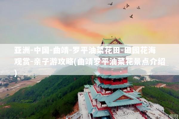亚洲-中国-曲靖-罗平油菜花田-田园花海观赏-亲子游攻略(曲靖罗平油菜花景点介绍)